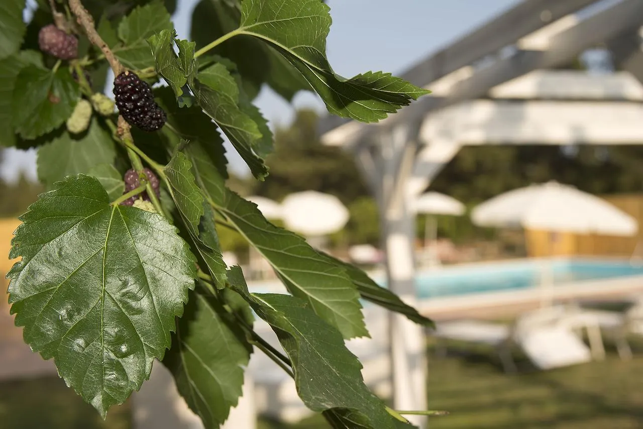 Sicily Country House & Beach Catania 0*,