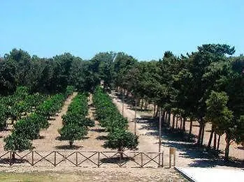 Alloggio per agriturismo Sicily Country House & Beach Aeroporto di Catania Fontana Rossa Italia