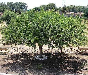 Sicily Country House & Beach Catania
